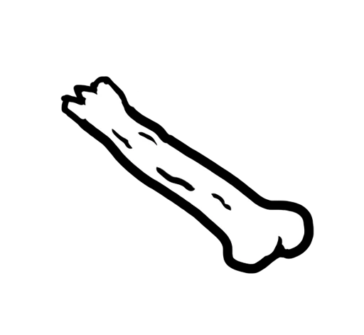 Bone card art