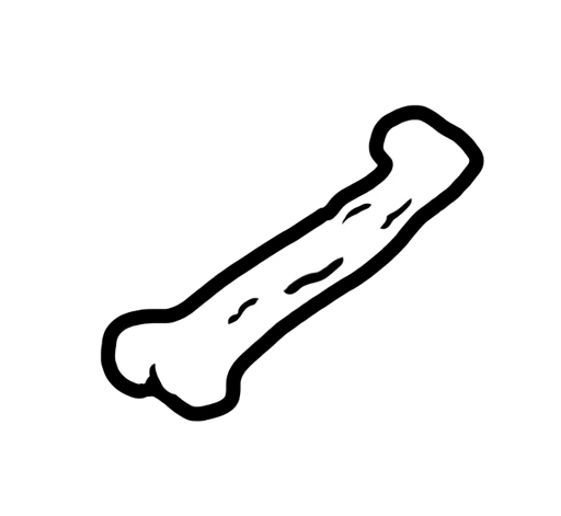 Bone card art