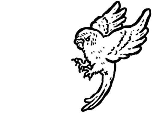Budgie Slam card art