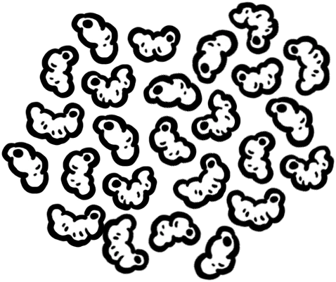 Endless Larvae card art