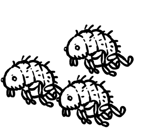 Fleas card art