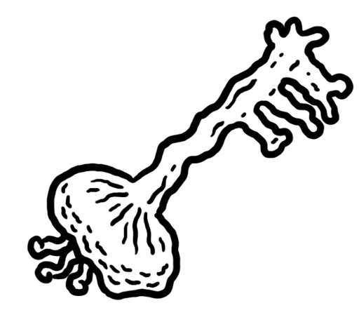 Mushroom Key card art