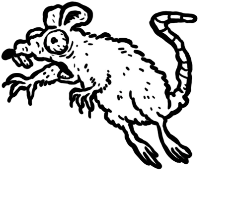 Rat Attack card art
