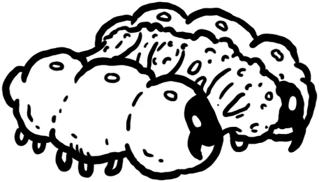 Spawn Grubs card art